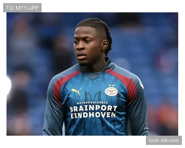 德甲转会风暴再起：新星强势加盟豪门，未来前景引热议